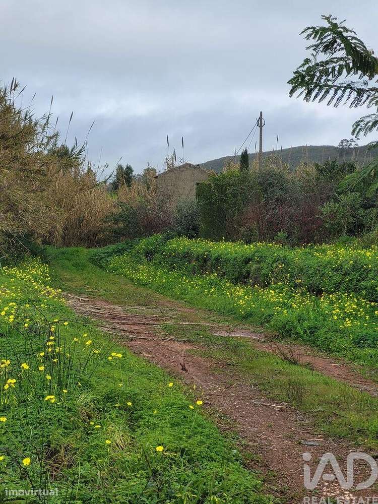 Terreno em Silves - Grande imagem: 3/6