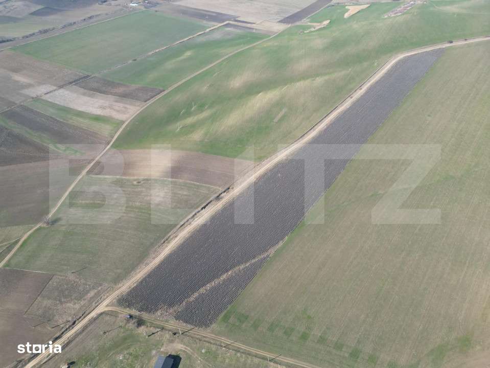 Teren de 4.5ha pretabil pentru panouri fotovoltaice, Dobrovat - Imagine principală: 5/5