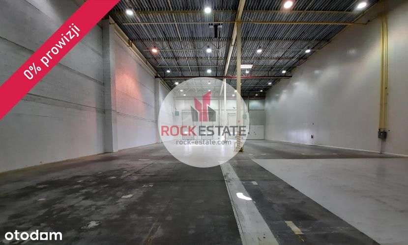 Magazyn z chłodnią od zaraz - 0% prowizji - Pełny obrazek: 4/11