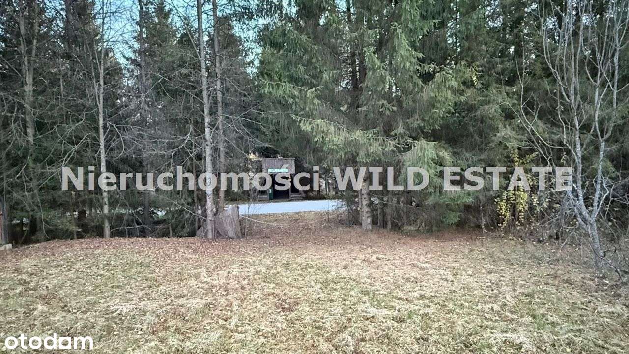 Działka, 1 393 m², Lutowiska - Pełny obrazek: 5/6