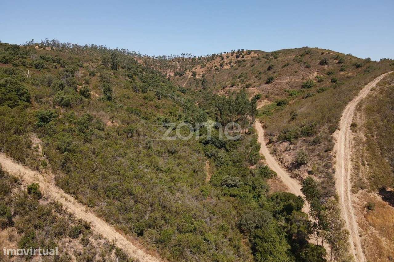 Terreno Rústico em Cadaval com 7.360m2 em S.B.Messines - Grande imagem: 4/15