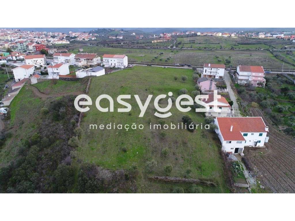 Terreno Rústico para loteamento no coração de Vila Nova Foz Côa - Grande imagem: 4/6