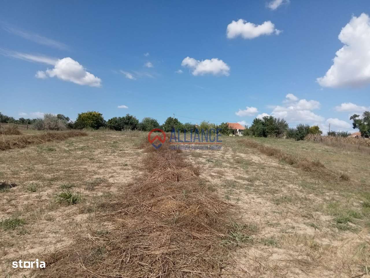 Teren intravilan 4.000 mp - Gradina, jud. Constanta-7