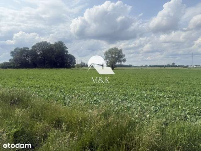 Działka rolna w Brwinowie-1