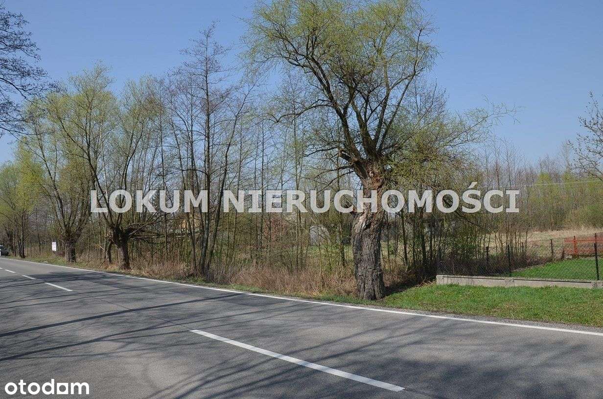 Działka O Powierzchni 0,43Ha W Atrakcyjnej Cenie! - Pełny obrazek: 4/14