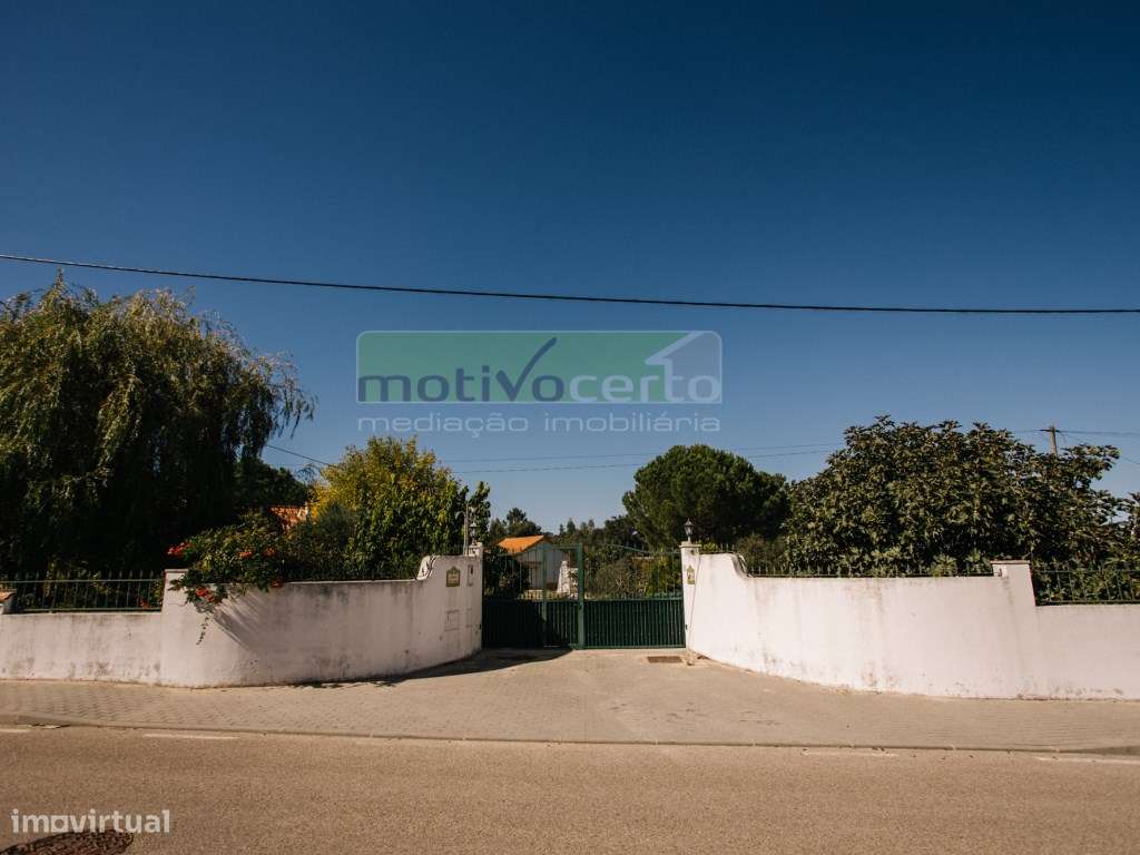 Moradia Térrea T4 em Quinta de 11.250 m² com Árvores de Fruto. Em S...-48