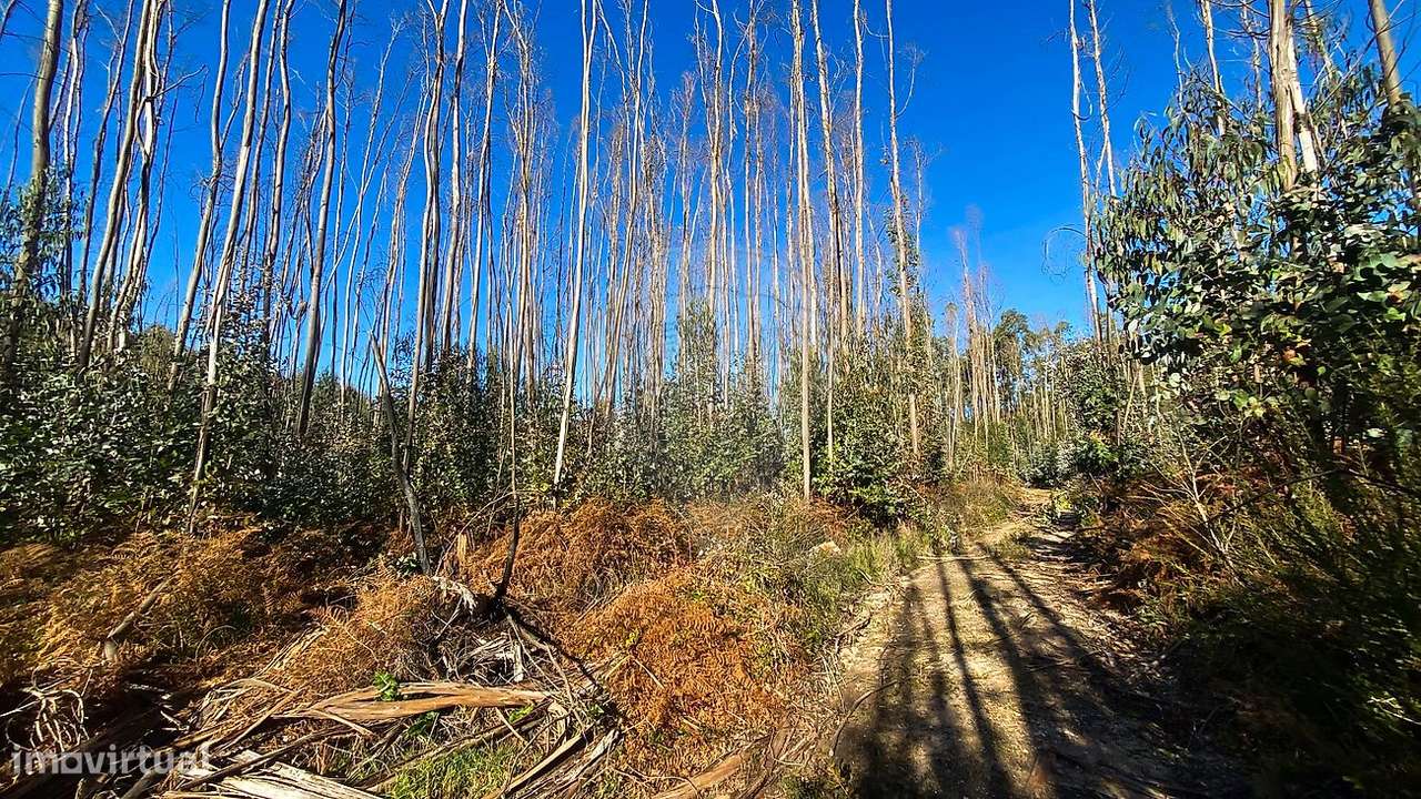 Terreno  para venda - Grande imagem: 5/10