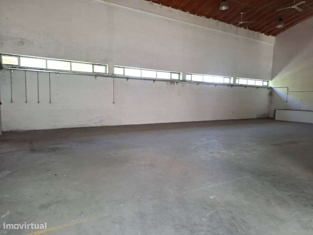 Pavilhão Industrial - Azurém-5
