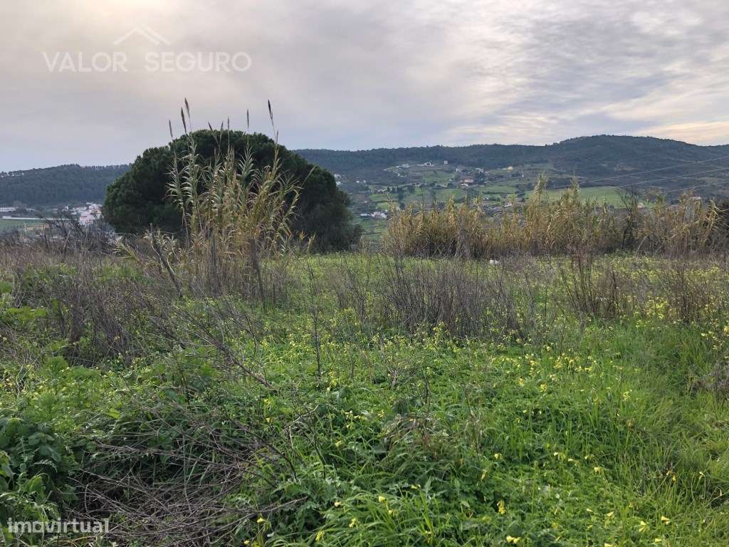 Terreno Misto para Loteamento em À-dos-Loucos, Alhandra - Grande imagem: 4/14