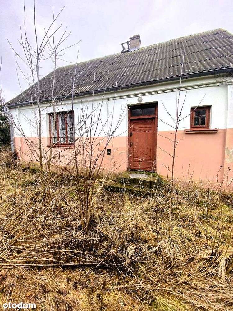 Siedlisko z klimatycznym domem-5