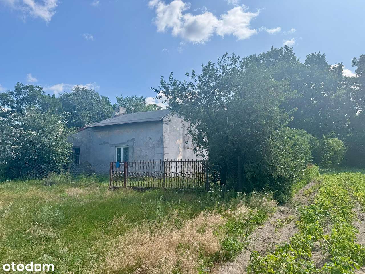 Dwie działki w cenie jednej!  732 m2  + 1300 m2 - Pełny obrazek: 4/12