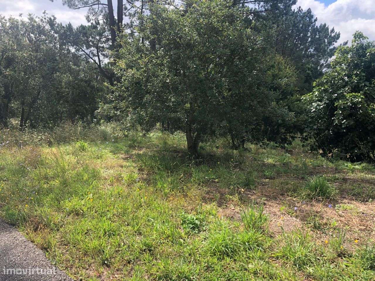 Terreno urbanizável em Ferraria de Pataias-7