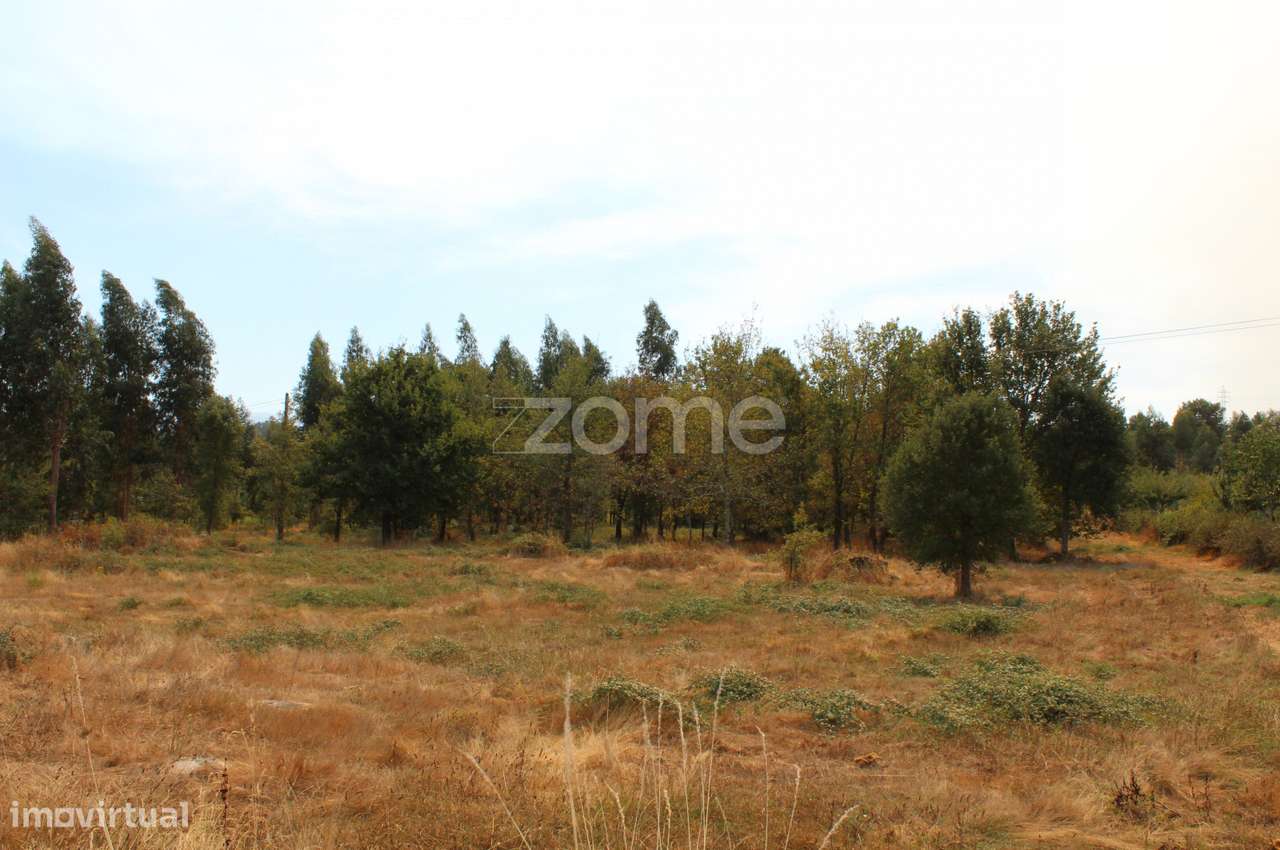 Terreno para construção e exploração agrícola em Paranhos da Beira... - Grande imagem: 2/20