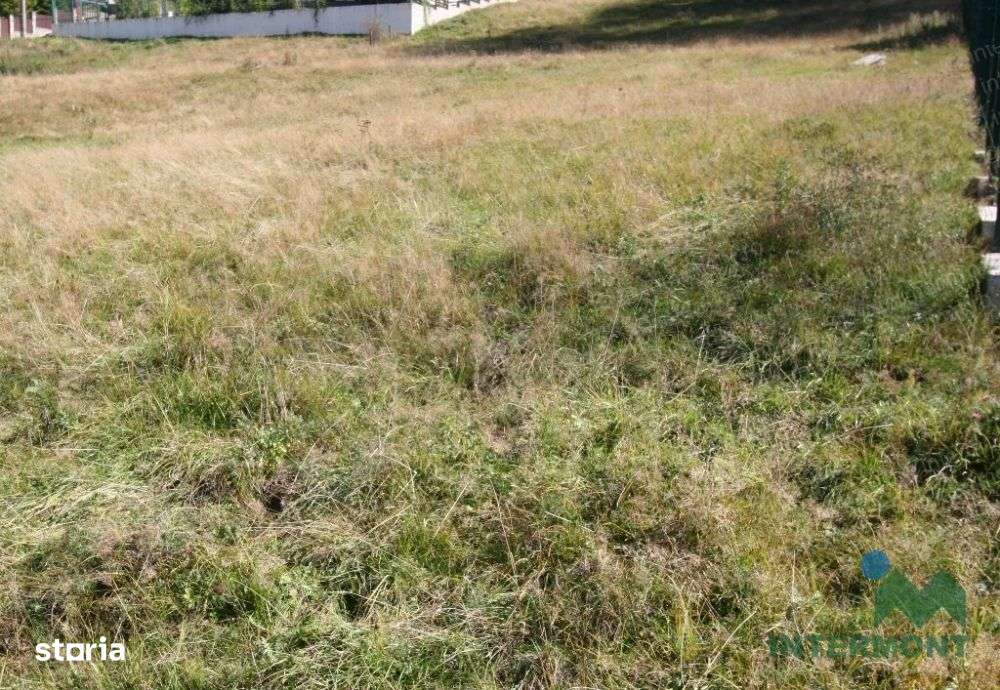 Teren Busteni- intravilan - Imagine principală: 5/8