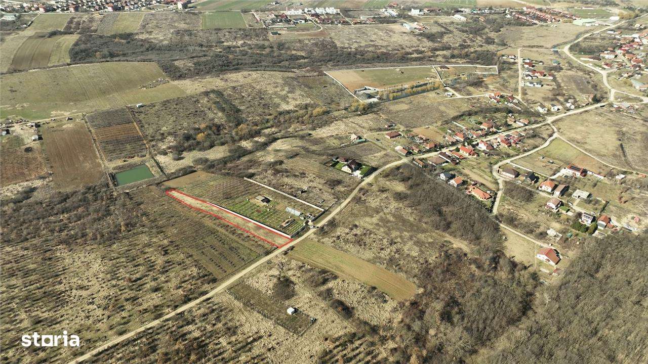 RECO TEREN INTRAVILAN IN PALEU - Imagine principală: 1/5