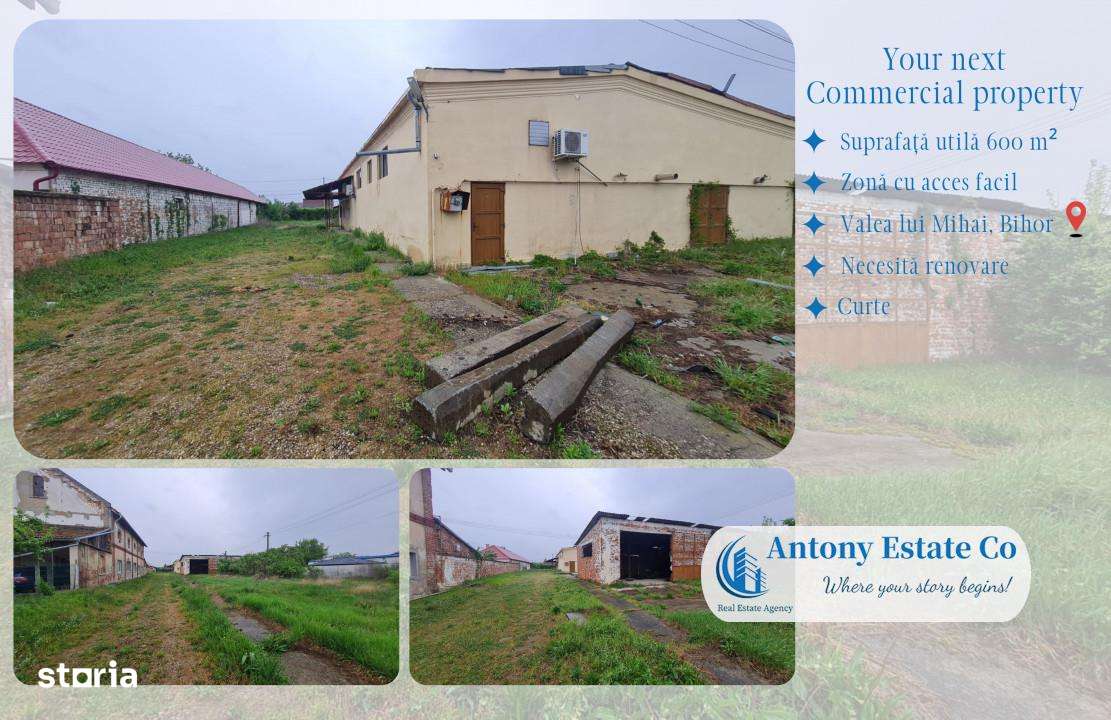 Oportunitate investitie,Laborator, Hala Productie, Valea lui Mihai, BH - Imagine principală: 4/12