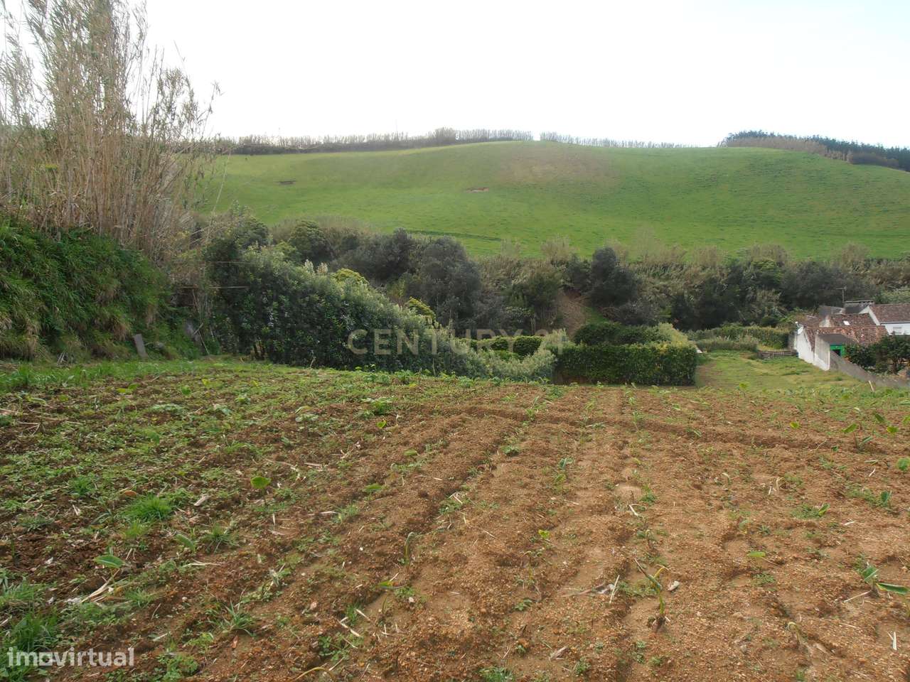 Terreno no Porto Formoso - A três minutos da fábrica do chá - Grande imagem: 3/8