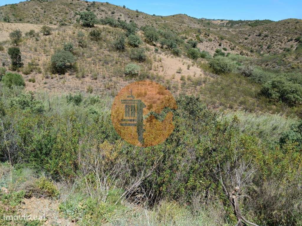 TERRENO COM 12.800 M2 - PRÓXIMO A CORTE DO GAGO EM CASTRO MARIM - A... - Grande imagem: 4/30