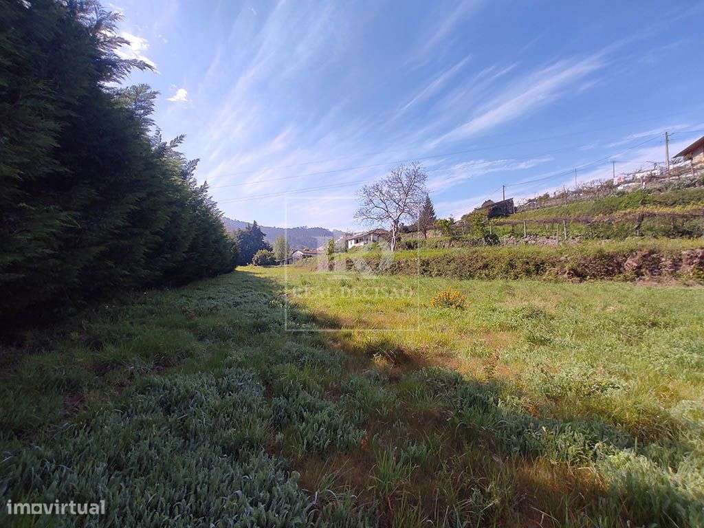 Quinta com 15000m2 em Santo Tirso-12