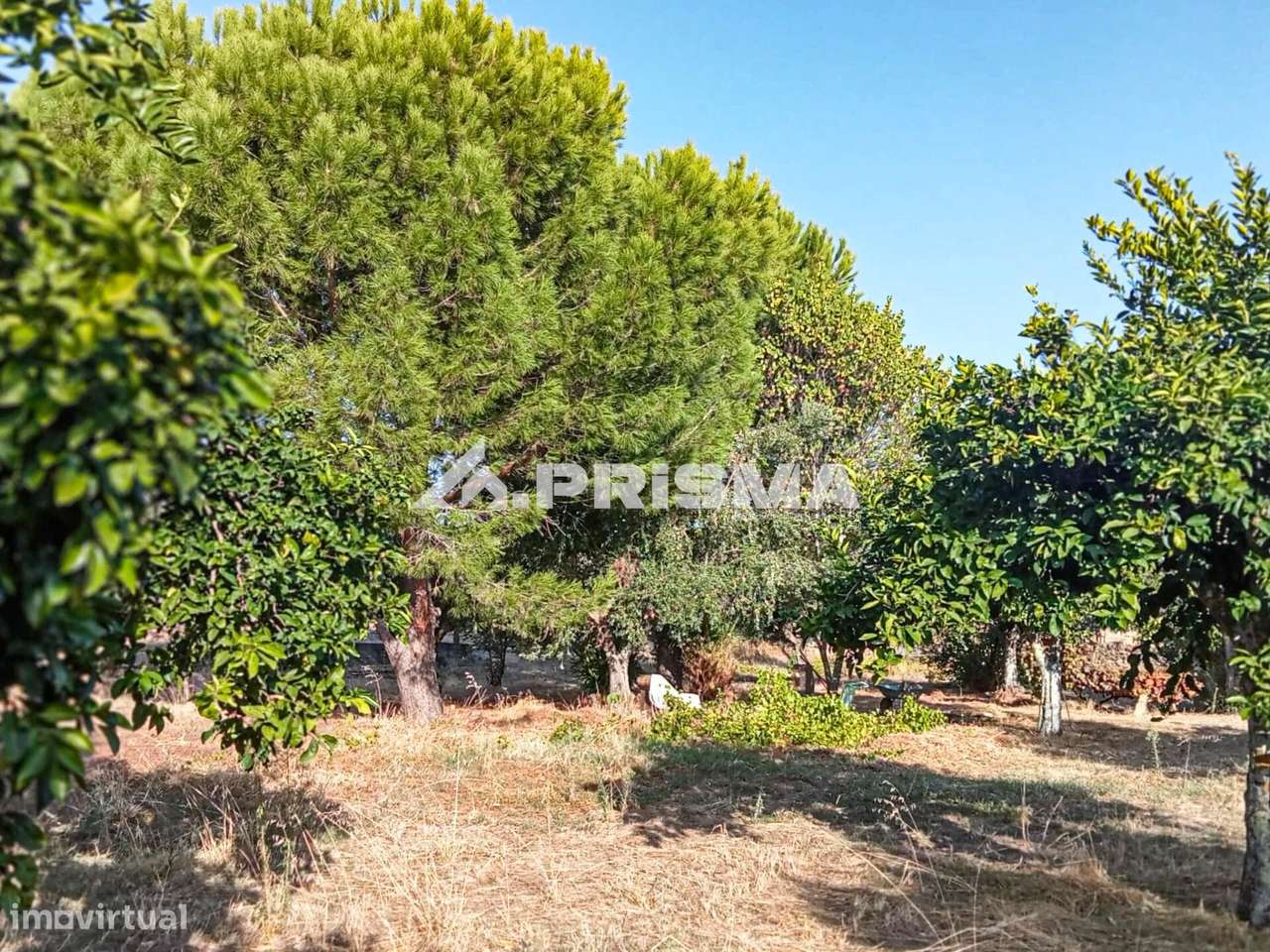 Terreno com construção rural para venda em Escalos de Baixo, Castelo B - Grande imagem: 5/28