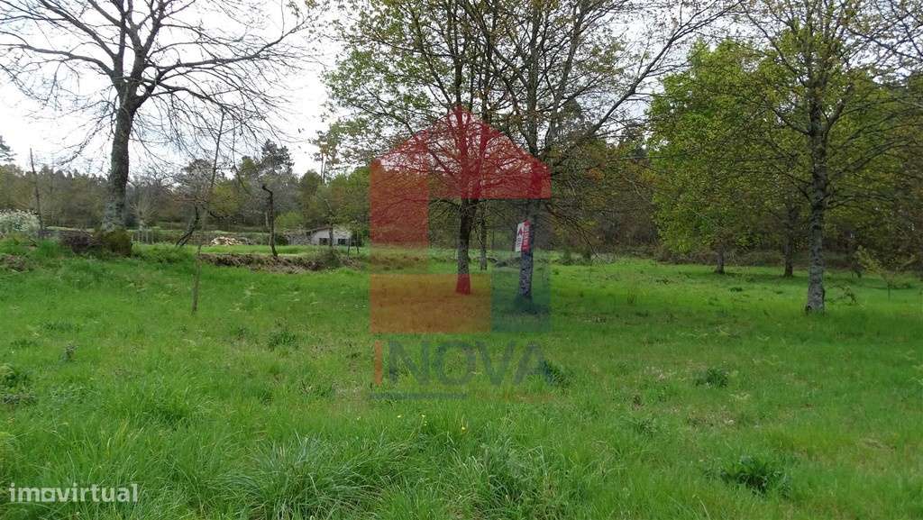 Vende-se Terreno, Coucieiro - Grande imagem: 4/7