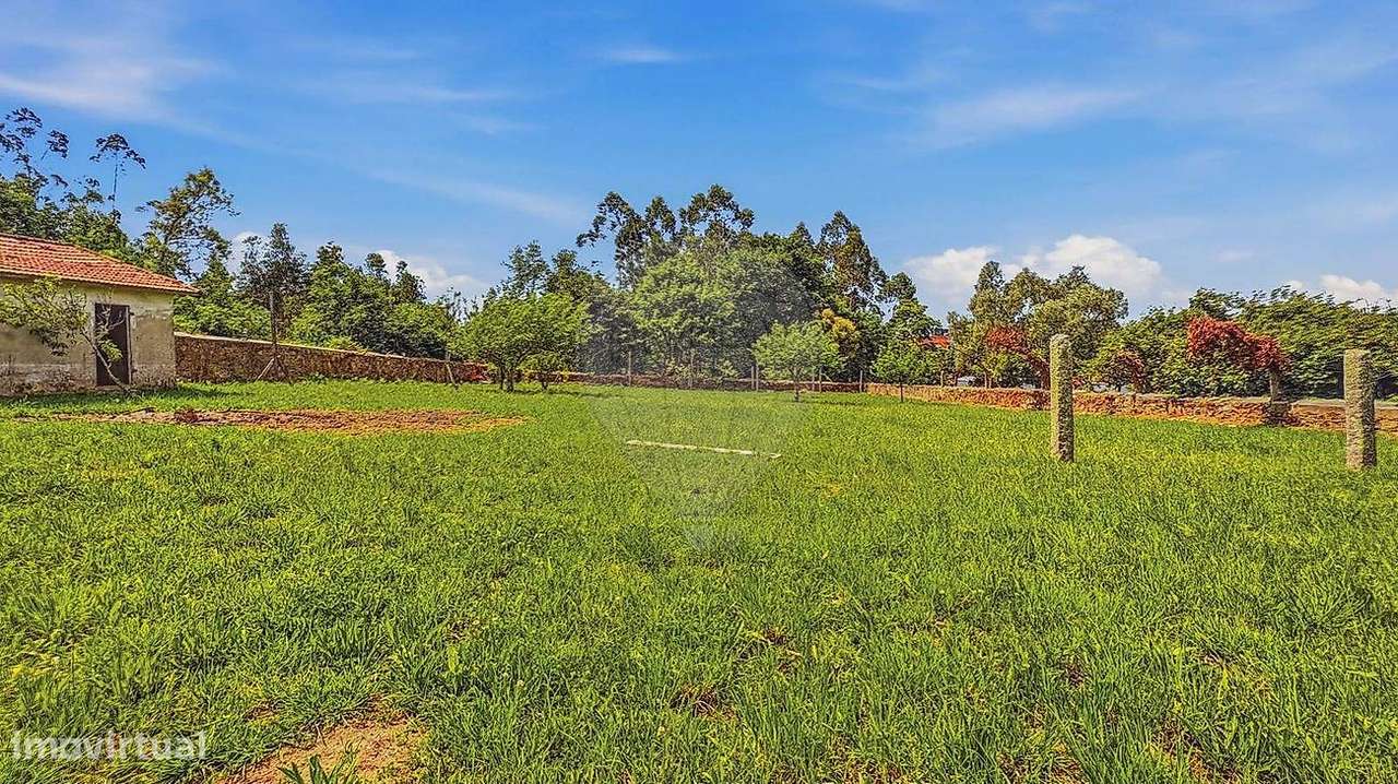 Terreno  para venda-3