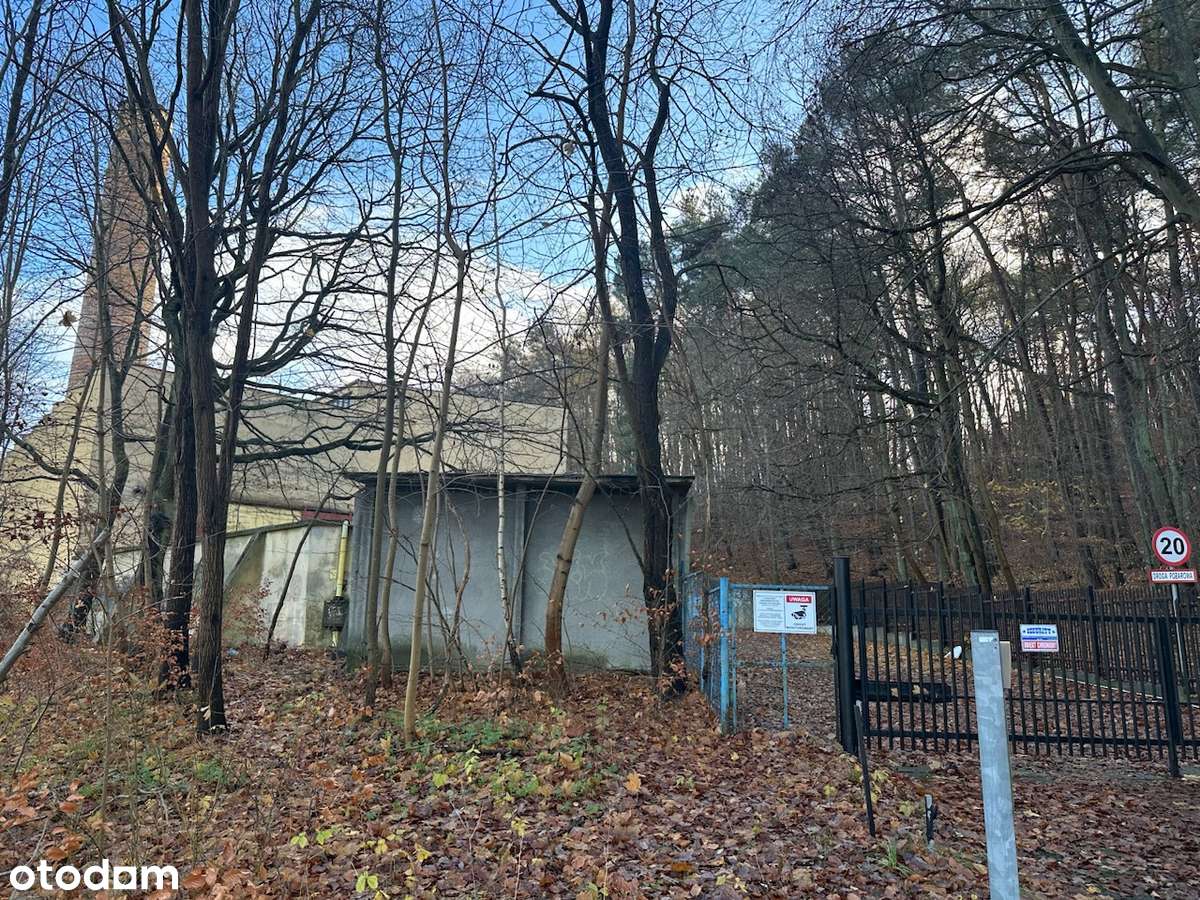 Do wynajęcia: obiekt biurowo-magazynowy Sopot, ul. Cieszyńskiego 15–17 - Pełny obrazek: 3/16