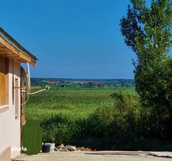 Casa Comana, strada principala, spate acces in balta, helesteu, GAZE