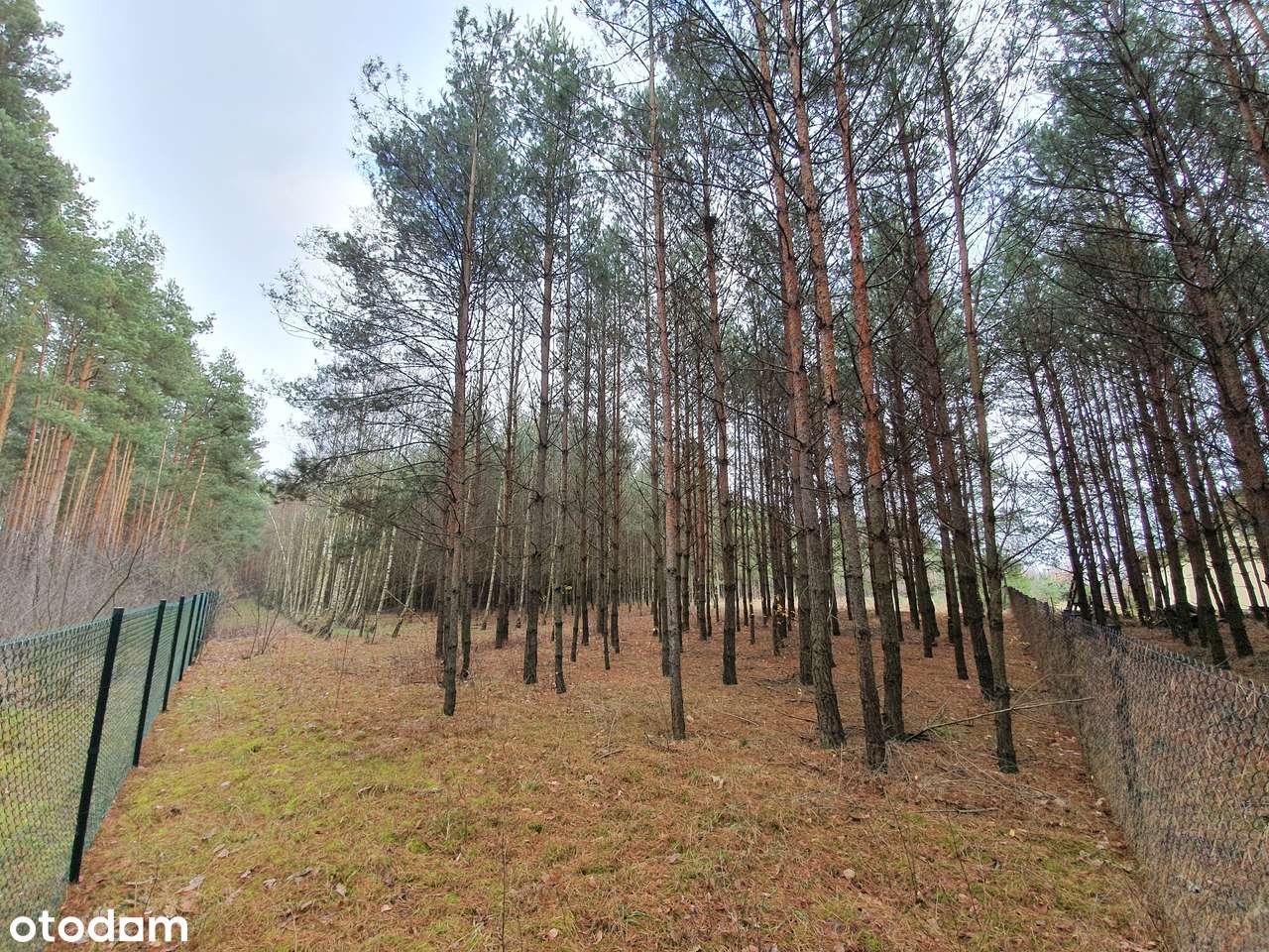 Działka z pozw. na budowę, projekt Inovia, j. Białe-14