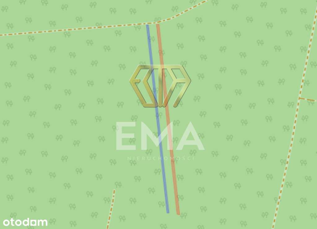 Działka leśna - Pełny obrazek: 5/8