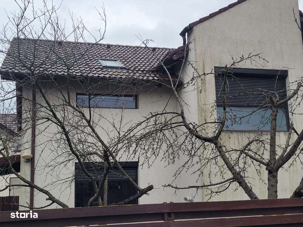 Casă deosebită Ștefăneștii Noi, Argeș - Imagine principală: 5/7