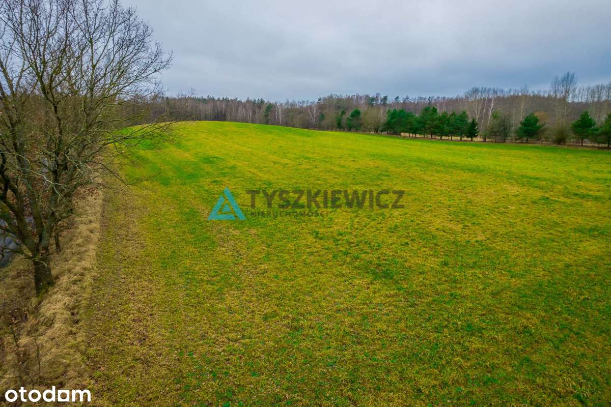 Duża działka rolna w Głodowie! - Pełny obrazek: 4/14