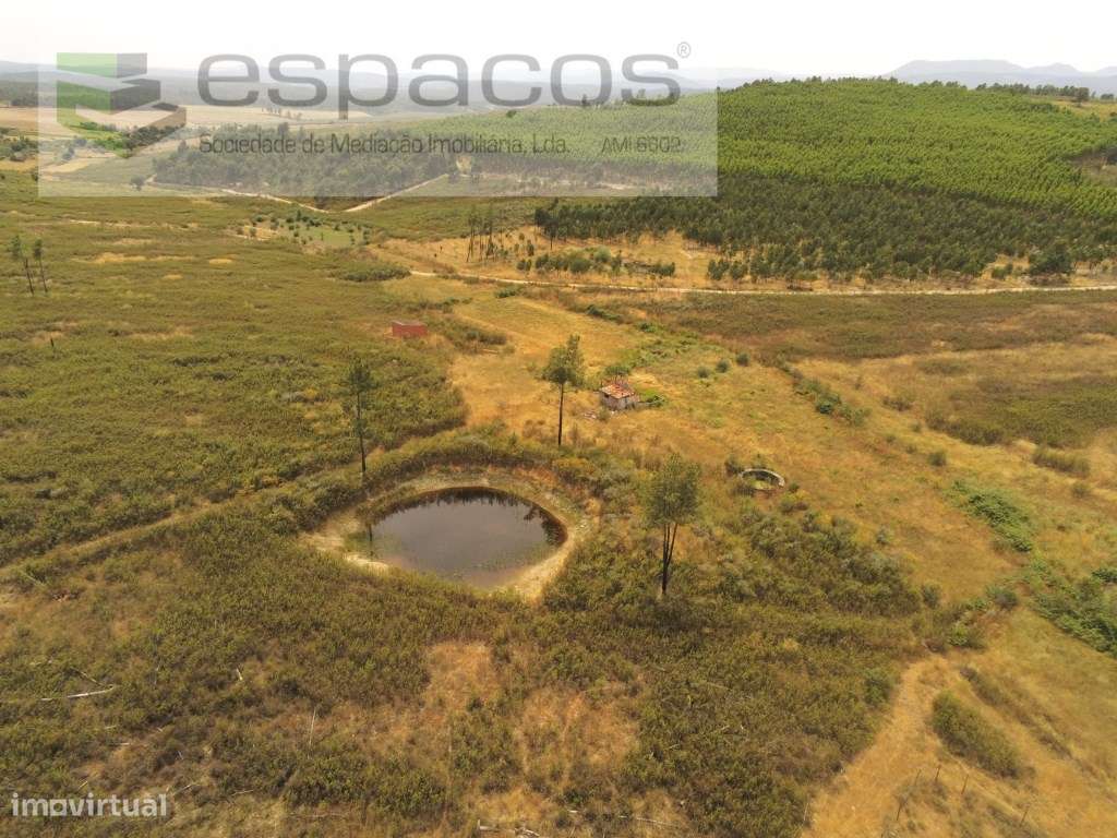 Quinta com 2 poços e barragem - Juncal do Campo - Grande imagem: 2/12