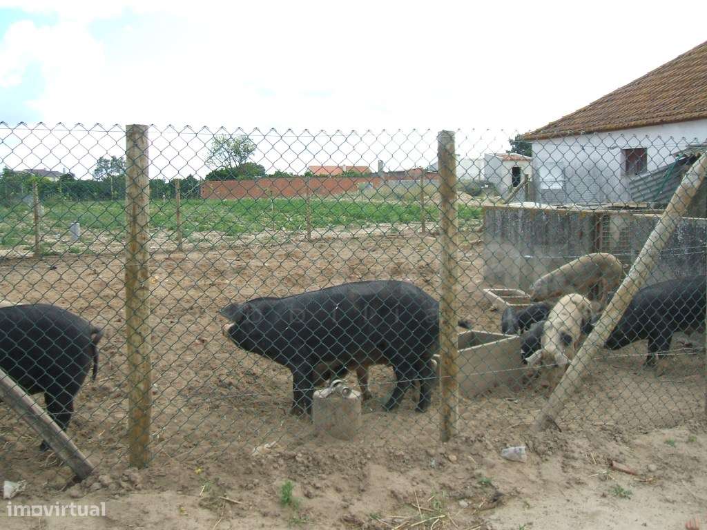 Terreno Rústico, com 35.000,00 m2 - Grande imagem: 5/20
