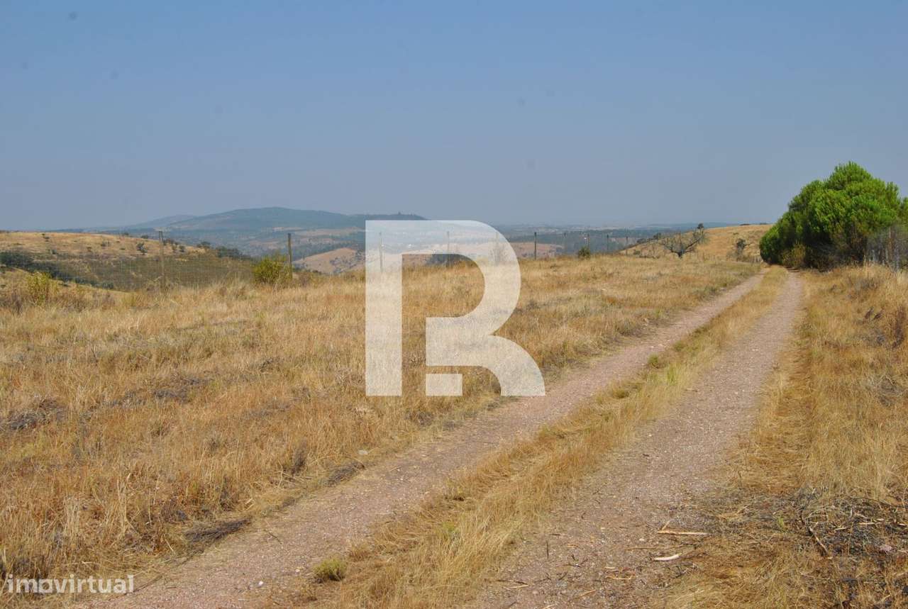Herdade do Carapetal com uma área de146 Hectares em Idanha-a-Nova - Grande imagem: 5/25