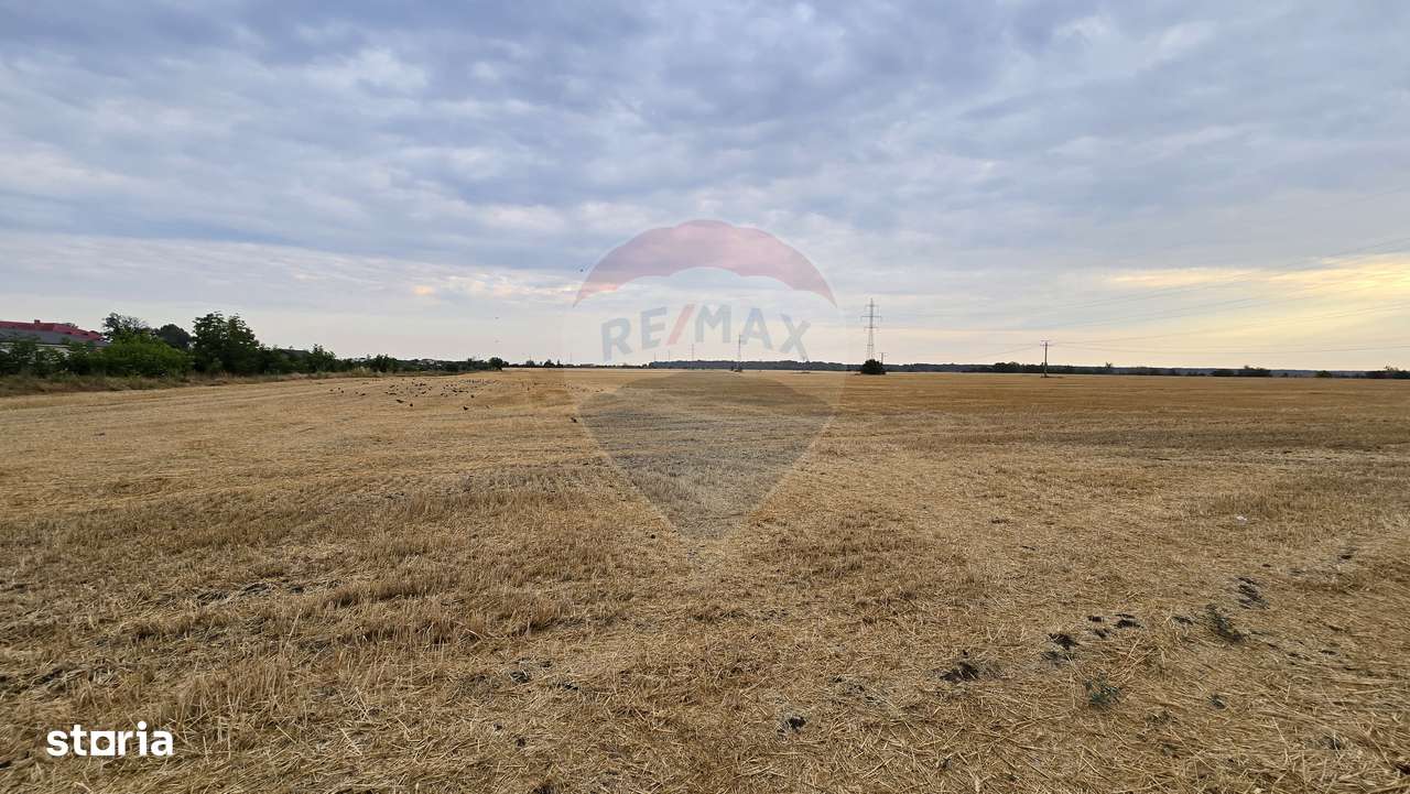 Teren intravilan Buftea, soseaua Tamasi - Imagine principală: 5/6