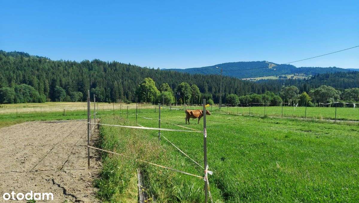 Wyjątkowe Siedlisko 7800 m² – Laliki-11