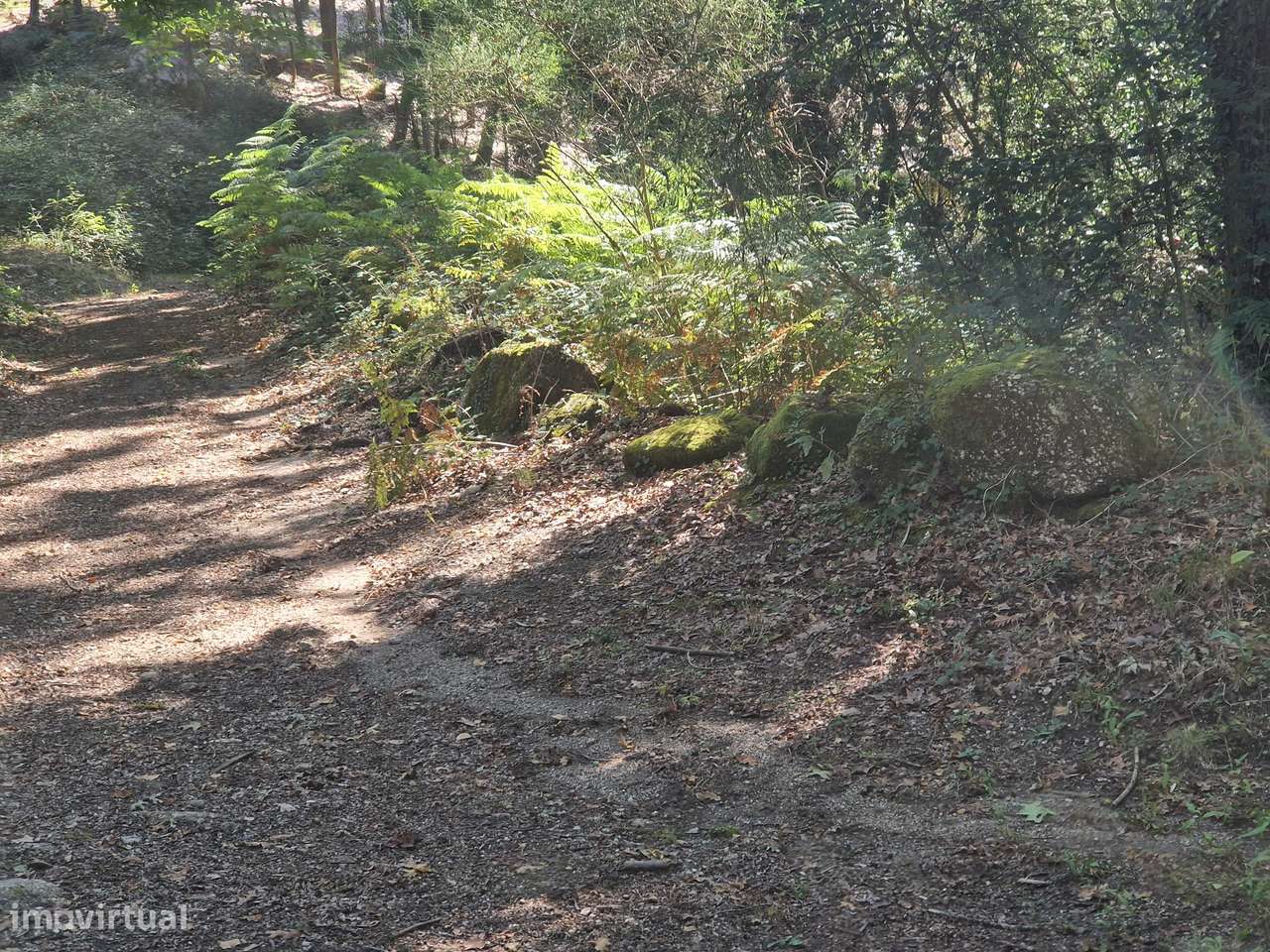 Terreno  Venda em Mosteiro,Vieira do Minho - Grande imagem: 4/21