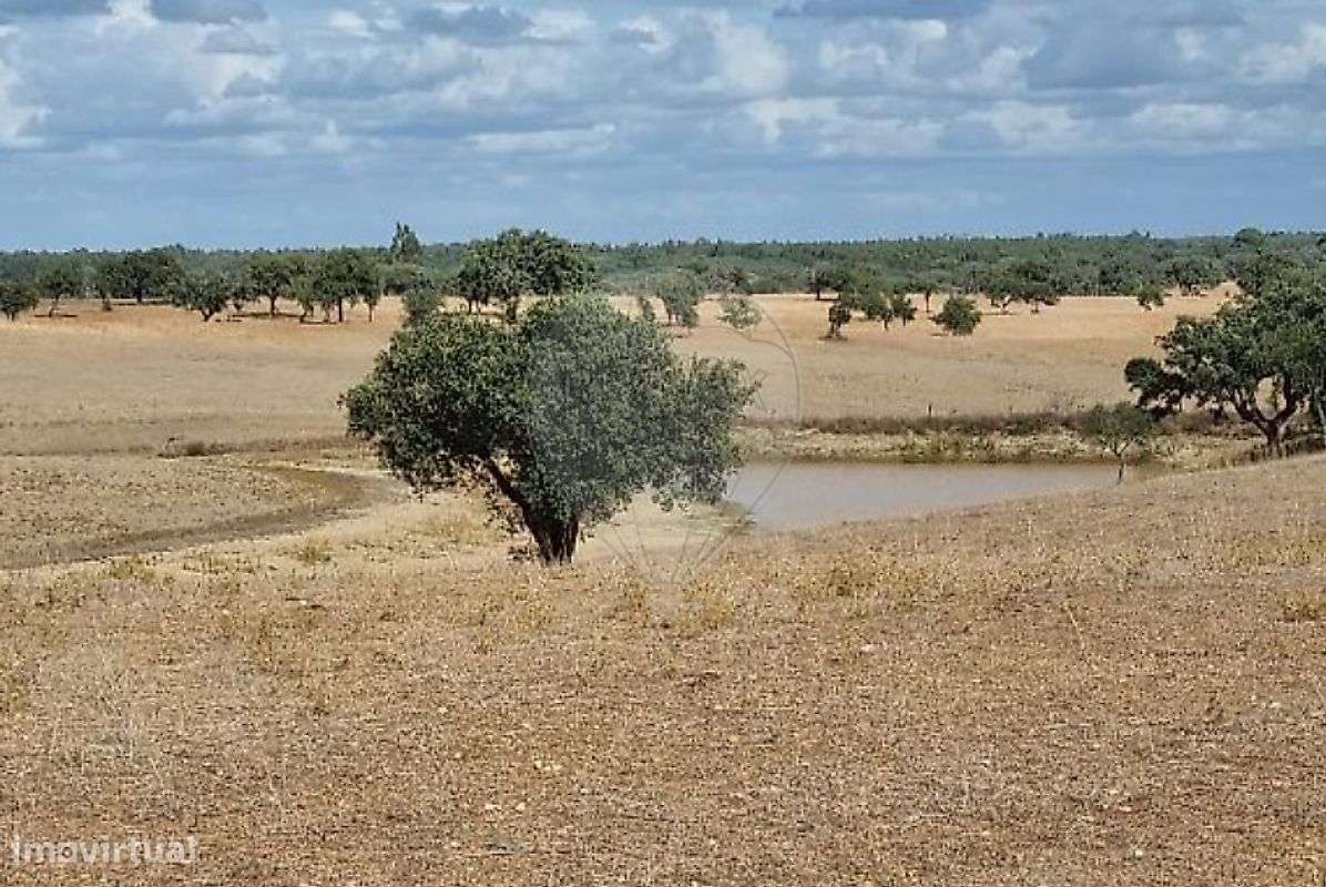 Terreno  para venda - Grande imagem: 4/7