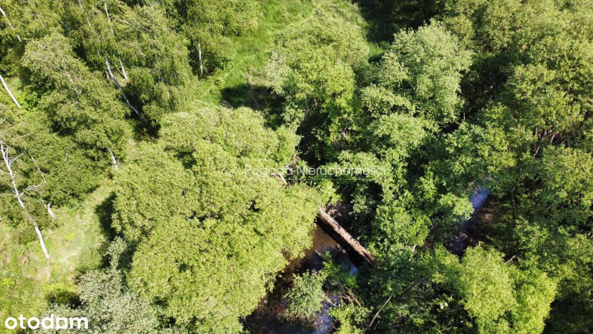 Działka budowla z małym stawem - Pełny obrazek: 5/13