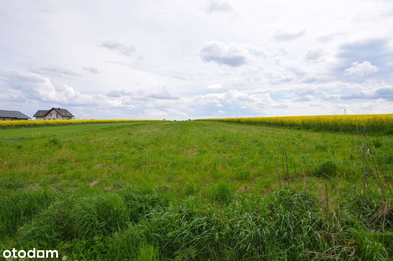 Nasutów/ działka budowlana/ 15 ar - Pełny obrazek: 2/5
