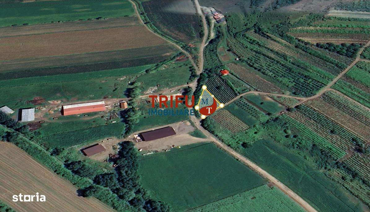 Teren 600 mp accesibil în Șard, zonă liniștită - Imagine principală: 1/8