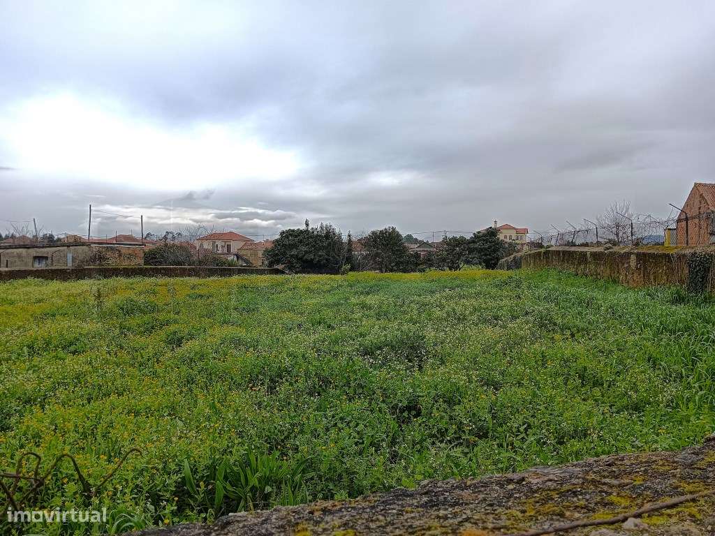 Terreno para Venda - Albergaria -a - Velha / Branca - Grande imagem: 5/20