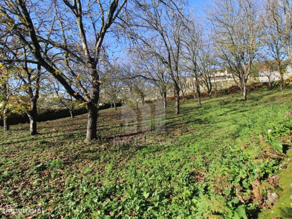 Venda de Terreno para Lotear, em Gualtar, Braga-20