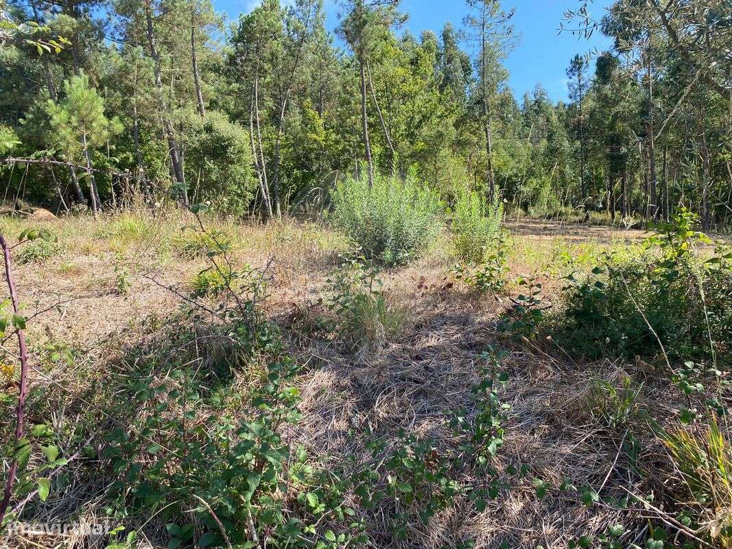 Terreno  para venda - Grande imagem: 4/7