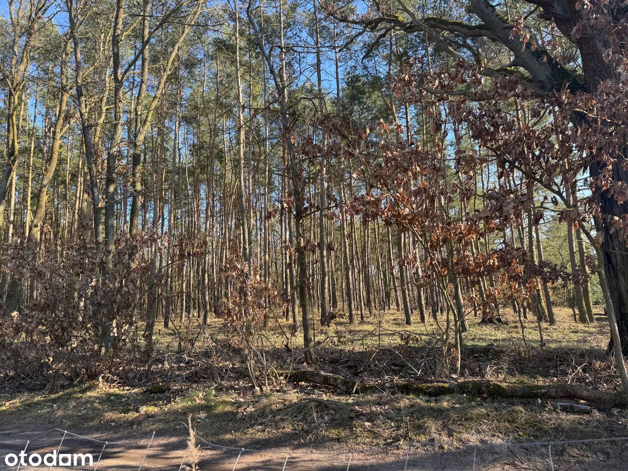 Dom przy lesie, możliwość zamiany na mieszkanie.-12