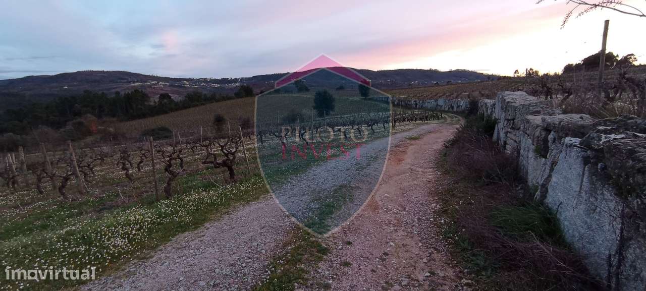 Quinta  Venda em Sezures,Penalva do Castelo-8