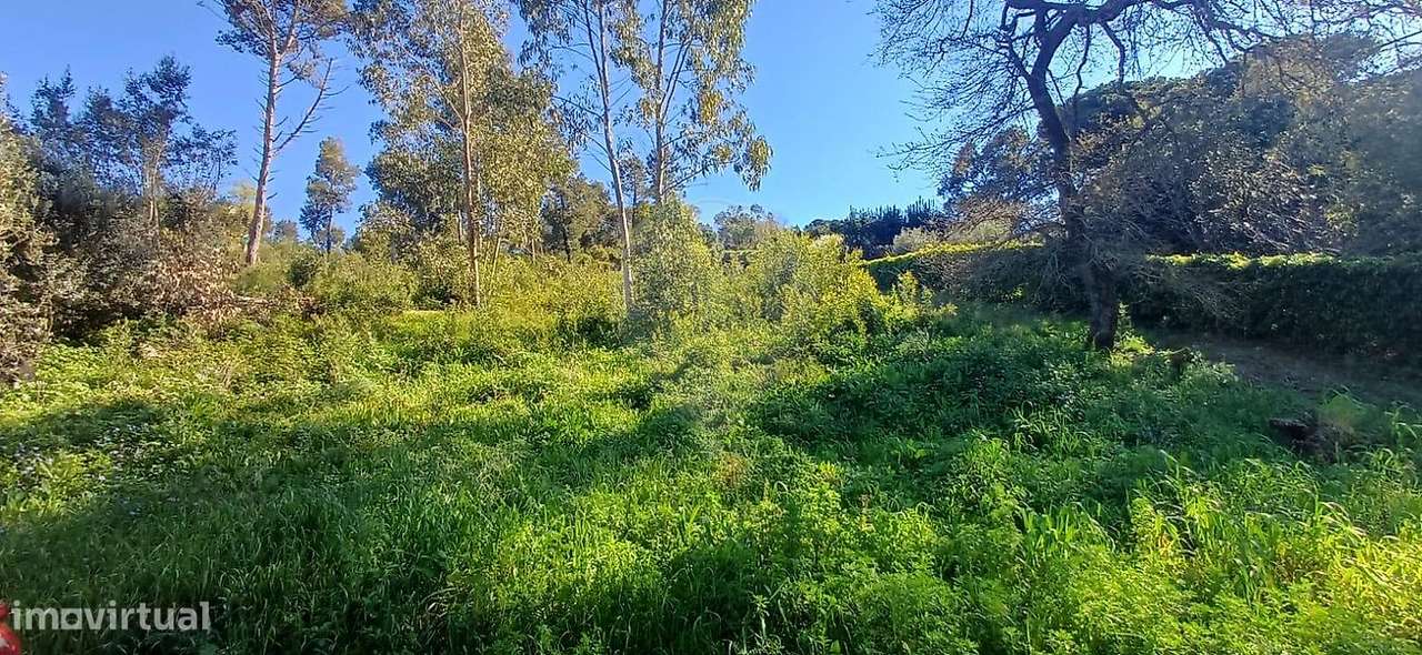 Terreno  para venda - Grande imagem: 5/19