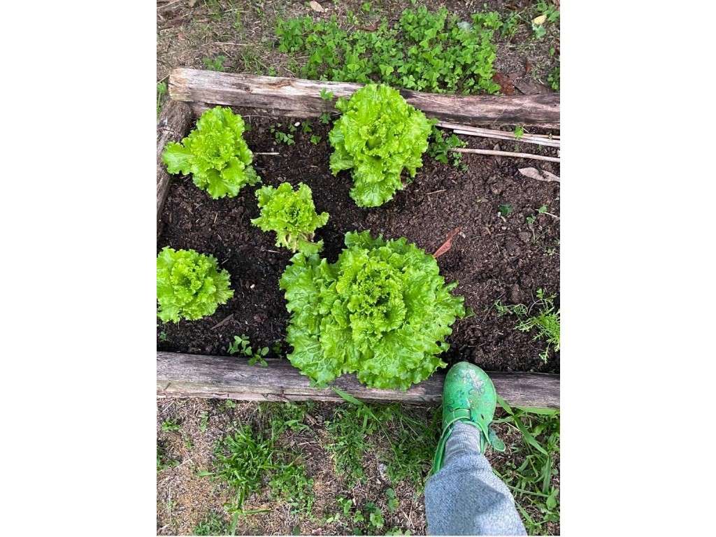 Moradia tipologia T2-21