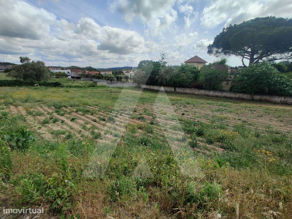 Terreno em Macinhata do Vouga para construção de moradia - Grande imagem: 4/8